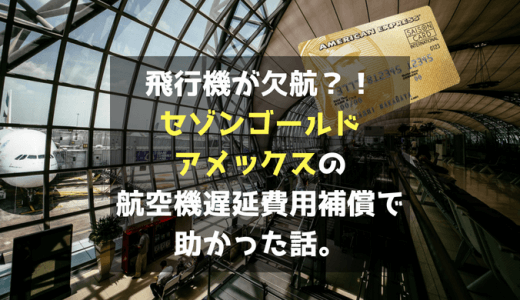 飛行機が欠航？！セゾンゴールドアメックスカードの海外旅行保険で助かった話