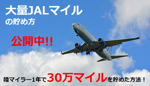 1年間で30万マイル！？陸マイラーで大量JALマイルを貯める方法を教えます！