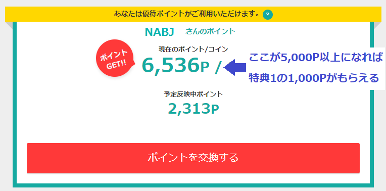 確定ポイント5,000以上でキャンペーン条件クリア