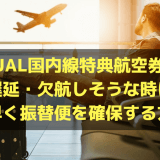 JAL国内線特典航空券で遅延・欠航しそうな時に素早く振替便を確保する方法を解説！