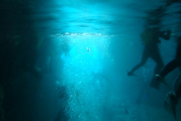 綺麗なブルーの水中