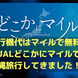 飛行機代はマイルで無料！JALどこかにマイルで沖縄旅行してきました！！