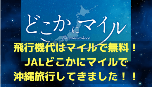 飛行機代はマイルで無料！お得な「JALどこかにマイル」で沖縄に行ってきた！！