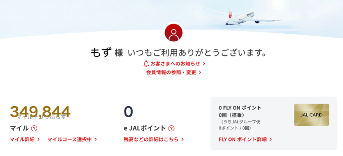 もずのマイル実績｜1年で30万マイル貯めてビジネスクラスでハワイを実現！